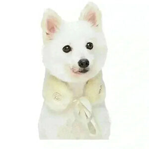 Blueberry Pet Cream Dog Scarf with Rhinestones